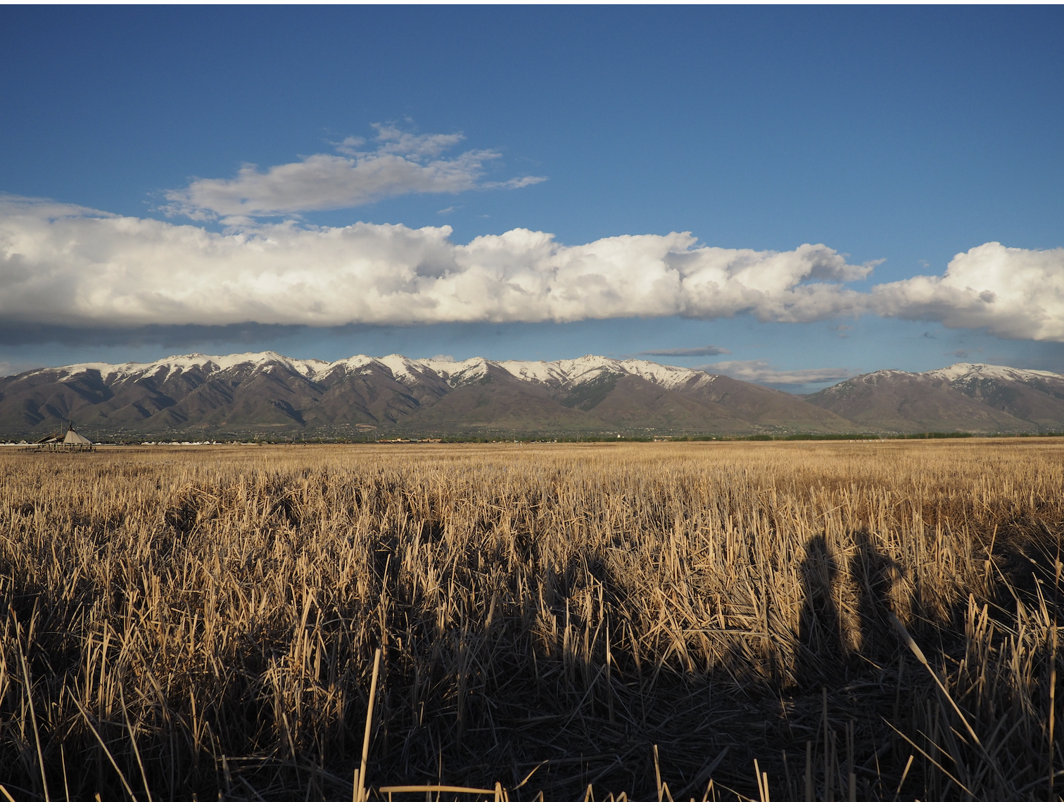 Top 5 Utah Nature Walks: Explore the Best!